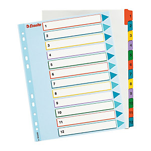 Lot de 2 - Esselte Intercalaires numériques maxi A4+ en carte, 12 divisions - Blanc touches colorées