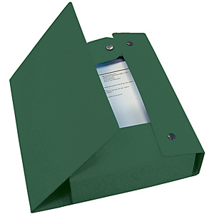 Esselte Scatola archivio Eurobox, Cartone, Verde, 350 mm x 250 mm x 60 mm Esselte Scatola archivio Eurobox, Cartone, Verde, 350 mm x 250 mm x 60 mm