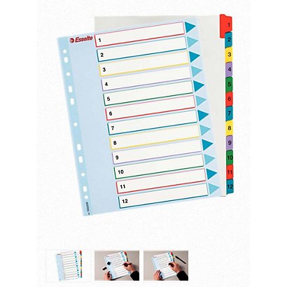 Esselte Separadores numéricos 1-12, A4+, cartón, 12 pestañas, colores surtidos