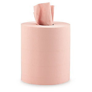 Essuie-tout bobine papier recyclé double épaisseur - Coloris chamois - 450 feuilles 19,5 x 30 cm Essuie-tout bobine papier recyclé double épaisseur - Coloris chamois - 450 feuilles 19,5 x 30 cm