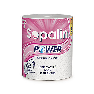 Essuie-tout Power SOPALIN