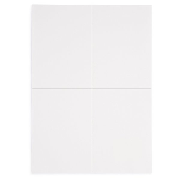 Etichette adesive stampabili RAJA - 5