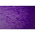 EXACOMPTA Chemise à élastiques Maxi capacity carte lustrée 425gm2 - A4 - Violet - 5
