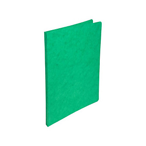 EXACOMPTA Chemise Nature Future® A4 sans rabat, 500 feuilles, 240 x 320 mm, carte lustrée - Vert EXACOMPTA Chemise Nature Future® A4 sans rabat, 500 feuilles, 240 x 320 mm, carte lustrée - Vert