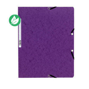 Exacompta Chemise Nature Future à fermeture élastique sans rabat 250 feuilles A4 400 g/m² en carte violet - Lot de 25 Exacompta Chemise Nature Future à fermeture élastique sans rabat 250 feuilles A4 400 g/m² en carte violet - Lot de 25