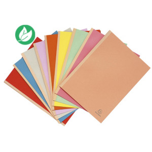 Exacompta Chemises à soufflet Forever dos toilé 3 cm - 300 feuilles - Carte 320 g - 24 x 32 cm - Assorties pastels - Lot de 25 Exacompta Chemises à soufflet Forever dos toilé 3 cm - 300 feuilles - Carte 320 g - 24 x 32 cm - Assorties pastels - Lot de 25
