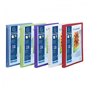Exacompta Classeur 4 anneaux personnalisable translucide A4 Polypropylène, Dos 2 cm Capacité 100 feuilles - Assortis Exacompta Classeur 4 anneaux personnalisable translucide A4 Polypropylène, Dos 2 cm Capacité 100 feuilles - Assortis