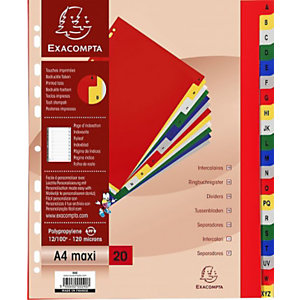 Exacompta Intercalaires alphabétiques maxi A4+ en polypropylène, 20 divisions - Assortis