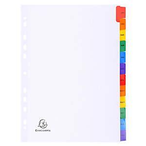 EXACOMPTA Intercalaires Imprimés mensuels carte blanche 160g - 12 positions - A4 - Blanc