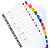 EXACOMPTA Intercalaires Imprimés mensuels carte blanche 160g - 12 positions - A4 - Blanc - 4