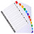 EXACOMPTA Intercalaires Imprimés numériques carte blanche 160g- 12 positions - A4 - Blanc - 5