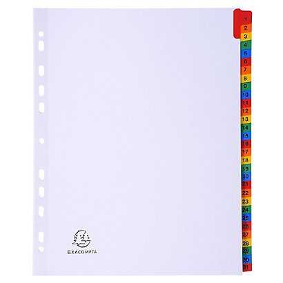 EXACOMPTA Intercalaires Imprimés numériques carte blanche 160g- 31 positions - A4 Maxi - Blanc - 1