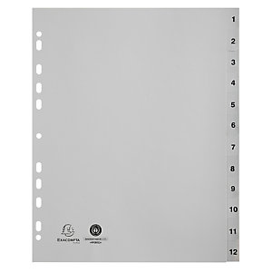 EXACOMPTA Intercalaires imprimés numériques PP recyclé gris 12 positions - A4 Maxi - Gris
