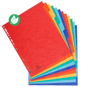 Exacompta Intercalaires neutres maxi A4+ en carte lustrée 400G - 12 divisions - Assortis Exacompta Intercalaires neutres maxi A4+ en carte lustrée 400G - 12 divisions - Assortis