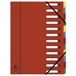 Exacompta Nature Future® Harmonika® Raccoglitore a scomparti con Dorso espandibile e Finestre incorporate Formato A4 Capacità 600 fogli 12 scomparti 240 x 320 mm Cartoncino Rosso Exacompta Nature Future® Harmonika® Raccoglitore a scomparti con Dorso espandibile e Finestre incorporate Formato A4 Capacità 600 fogli 12 scomparti 240 x 320 mm Cartoncino Rosso