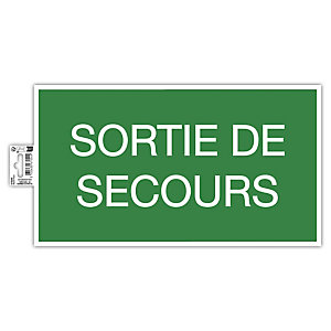 EXACOMPTA Panneau adhésif Issue de Secours 35x20 cm - Vert