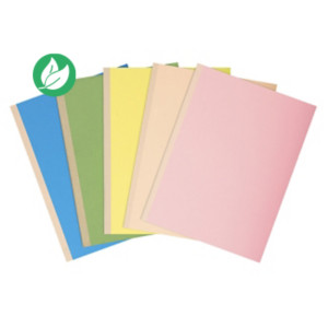 Exacompta Paquet de 10 chemises à dos toilé, carte 320 grammes, dos 3cm, 24x32cm, coloris assortis Exacompta Paquet de 10 chemises à dos toilé, carte 320 grammes, dos 3cm, 24x32cm, coloris assortis