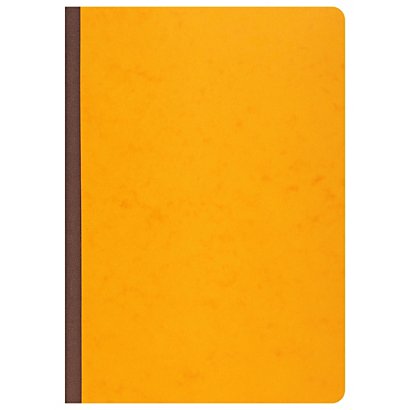 EXACOMPTA Piqûre 29,7x21cm journal folioté 80pages - Couleurs assorties - 1