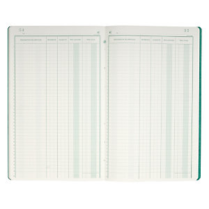 EXACOMPTA Piqûre 32x19,5cm Livre d'Inventaire 38 lignes 80 pages - Couleurs assorties