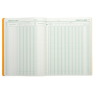 EXACOMPTA Piqûre 32x25 Journal de caisse ou banque 9 débit - 4 crédit 33 lignes 80 pages - Couleurs assorties EXACOMPTA Piqûre 32x25 Journal de caisse ou banque 9 débit - 4 crédit 33 lignes 80 pages - Couleurs assorties