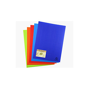 Exacompta Protége-documents Forever® en polypropylène recyclé, 100 vues/50 pochettes A4, coloris assortis Exacompta Protége-documents Forever® en polypropylène recyclé, 100 vues/50 pochettes A4, coloris assortis