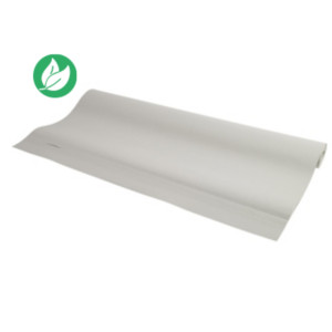 Exacompta Recharge de papier recyclé pour tableaux - blanc uni 80g microperforé - Rouleau de 20 feuilles 63 x 98 cm