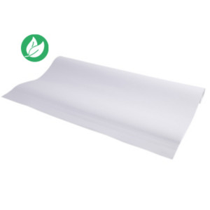 Exacompta Recharge de papier pour tableaux - Premium offset blanc uni 72g microperforé - Rouleau de 20 feuilles 63 x 98 cm