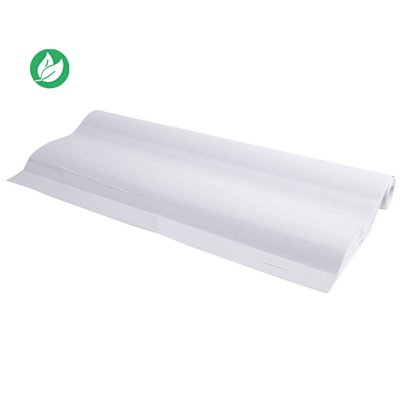 Exacompta Recharge de papier pour tableaux - Premium quadrillé recto / verso blanc uni 72g microperforé - Rouleau de 20 feuilles 63 x 98 cm - 1