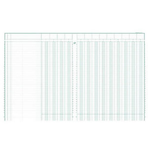 Exacompta Registre comptable à colonnes - Piqûre modèle 14130 - 32x25cm - 31 lignes - 13 colonnes - bloc 80 feuilles