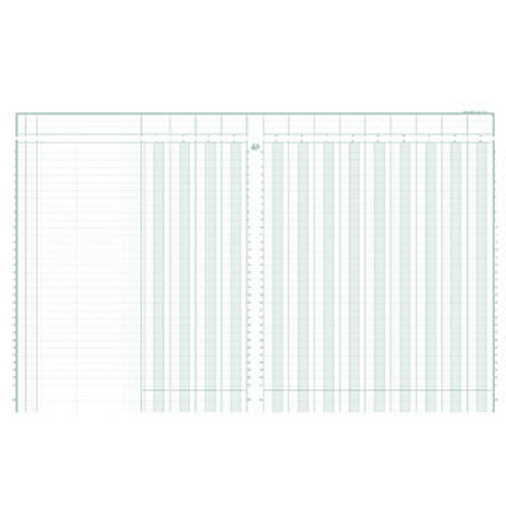 Exacompta Registre comptable à colonnes - Piqûre modèle 14130 - 32x25cm - 31 lignes - 13 colonnes