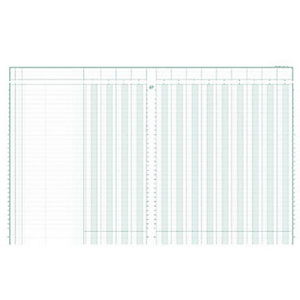 Exacompta Registre comptable à colonnes - Piqûre modèle 14130 - 32x25cm - 31 lignes - 13 colonnes
