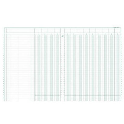Exacompta Registre comptable à colonnes - Piqûre modèle 14130 - 32x25cm - 31 lignes - 13 colonnes - 1