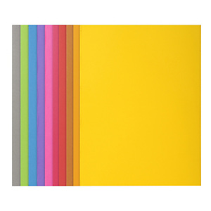 Exacompta Rock's 210 Subcarpeta de cartulina 210 g/m² colores surtidos Exacompta Rock's 210 Subcarpeta de cartulina 210 g/m² colores surtidos