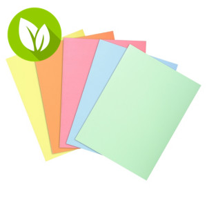 EXACOMPTA Subcarpeta de papel 60 g/m² colores surtidos pastel