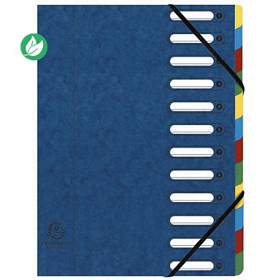 Exacompta Trieur à élastiques Harmonika à fenêtres - véritable carte lustrée - 12 divisions - Bleu - 1