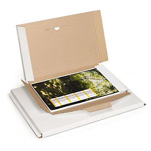 Extra-large, panel wrap cardboard mailers