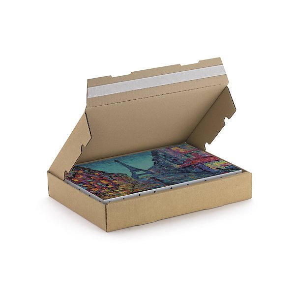 Extra platte doos met zelfklevende sluiting bruin RAJA 31 x 22 x 5 cm - 4