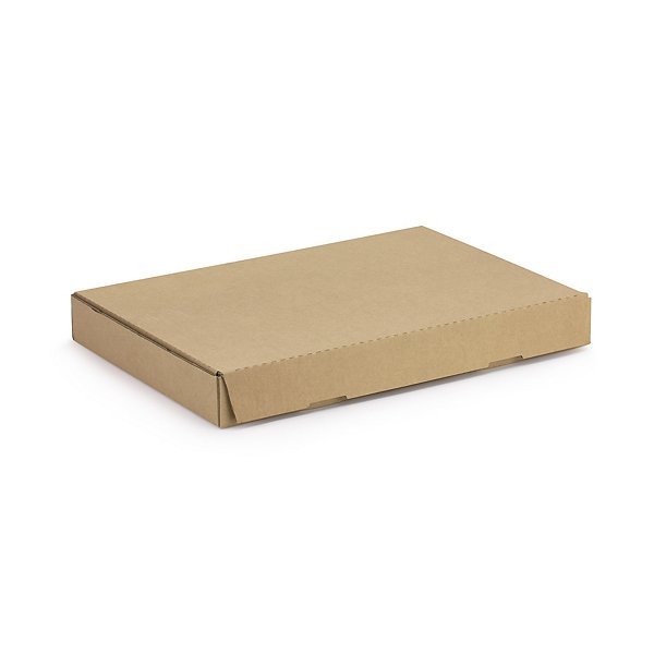Extra platte doos met zelfklevende sluiting bruin RAJA 31 x 22 x 5 cm - 2