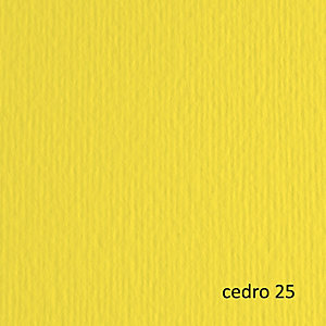 FABRIANO Cartoncino Elle Erre - 50x70cm - 220gr - cedro 25  - blister 20 fogli