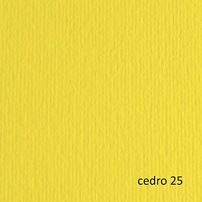 FABRIANO Cartoncino Elle Erre - 50x70cm - 220gr - cedro 25  - blister 20 fogli - 1