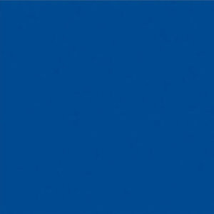 FATO Tovaglioli monouso in cellulosa, 2 veli, 40 x 40 cm, Blu (confezione 1.000 pezzi)