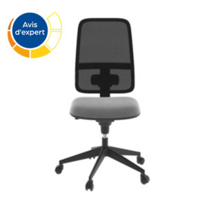 Fauteuil de bureau en tissu sans accoudoirs Terence - Dossier en maille - Assise en tissu - Gris Fauteuil de bureau en tissu sans accoudoirs Terence - Dossier en maille - Assise en tissu - Gris