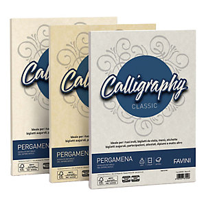 FAVINI Carta Calligraphy pergamena - A4 - 190 gr - bianco 01  - conf. 50 fogli