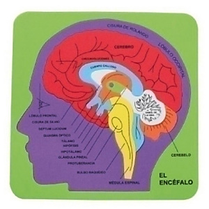FIXO Puzle, Goma EVA, 21,2x21,5 cm. Sistema Cerebral