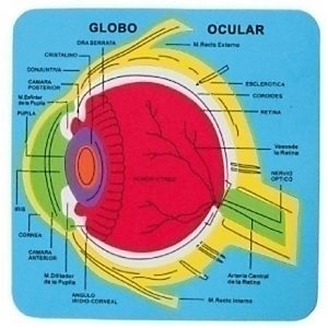 FIXO Puzle, Goma EVA, 21,2x21,5 cm. Sistema Ocular