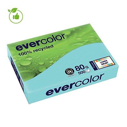 Gekleurd papier Evercolor Clairefontaine blauw A4 80g, 5 riemen van 500 vellen - 1
