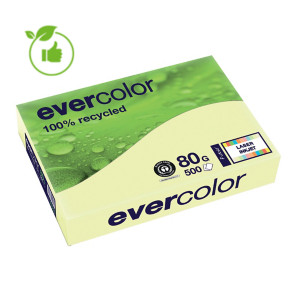 Gekleurd papier Evercolor Clairefontaine geel A4 80g, 5 riemen van 500 vellen