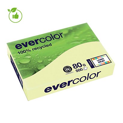 Gekleurd papier Evercolor Clairefontaine geel A4 80g, 5 riemen van 500 vellen - 1