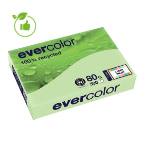 Gekleurd papier Evercolor Clairefontaine groen A4 80g, 5 riemen van 500 vellen