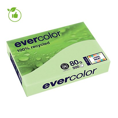 Gekleurd papier Evercolor Clairefontaine groen A4 80g, 5 riemen van 500 vellen - 1